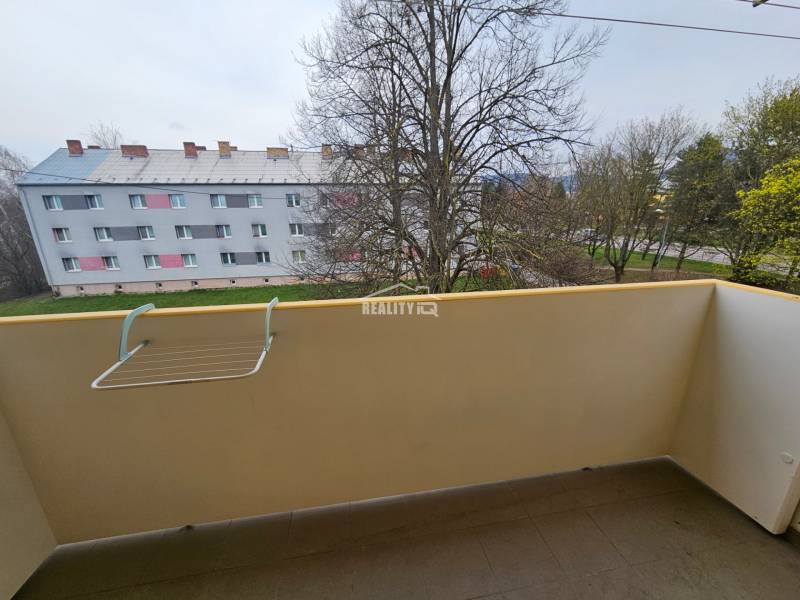 20250402_102844.jpg