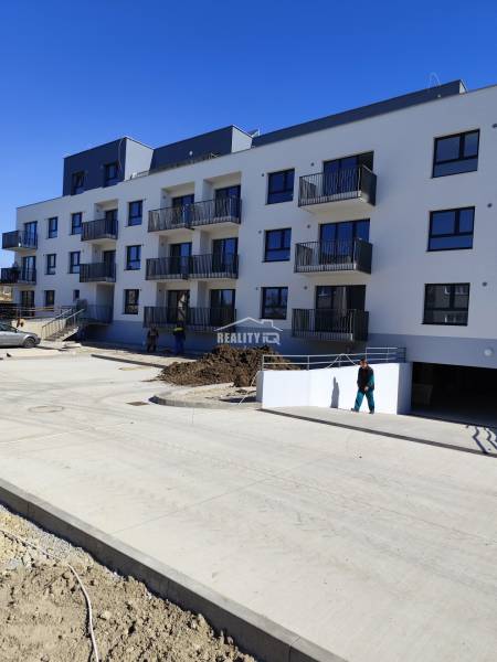 IMG_20260408_101639 (1).jpg