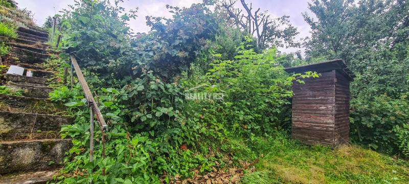 20250710_091252.jpg