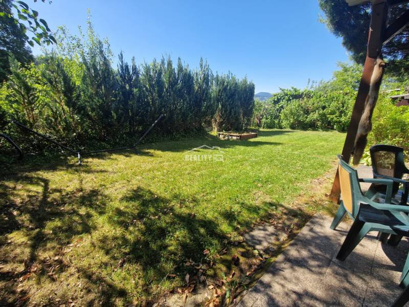 WhatsApp Image 2026-03-10 at 17.36.76.jpeg