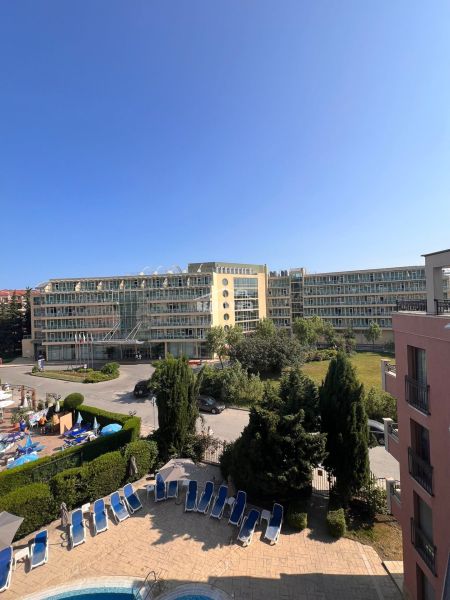 258.jpg
